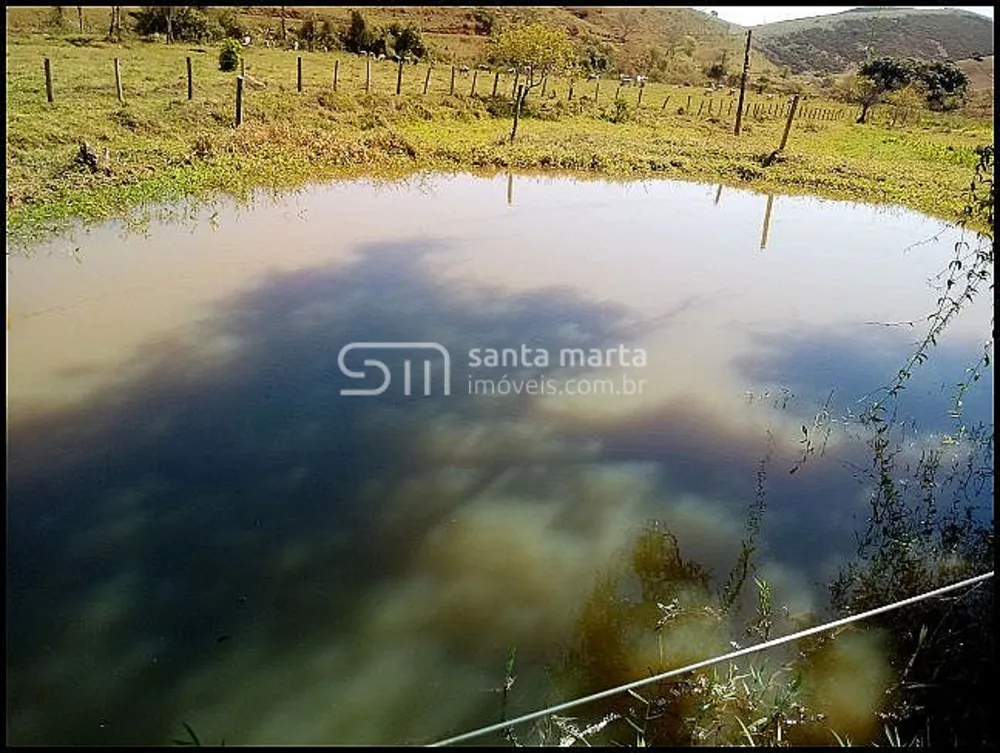 Fazenda, 140 hectares - Foto 8