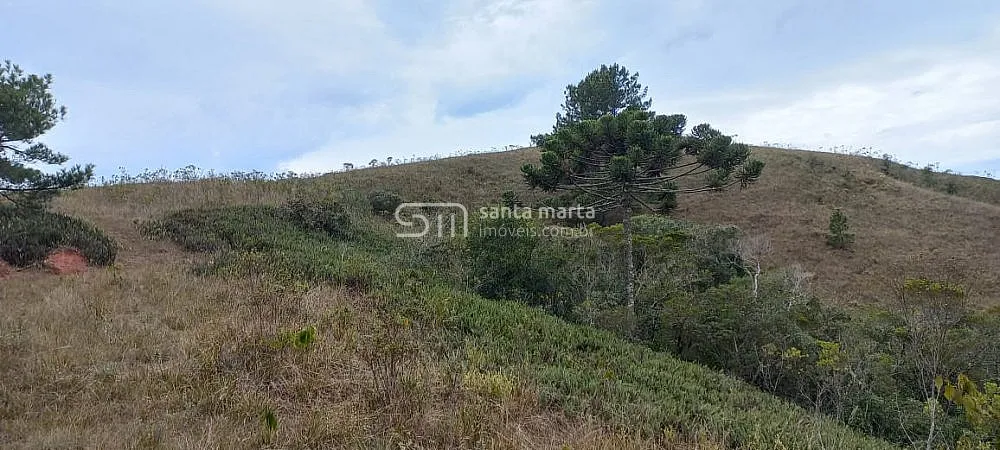 Sítio, 2 hectares - Foto 6