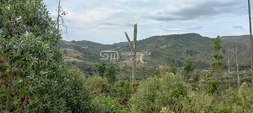 Sítio, 2 hectares - Foto 2