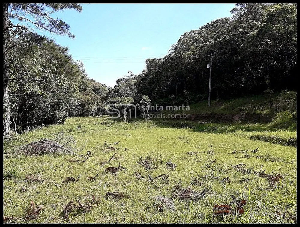 Sítio, 3 quartos, 154 hectares - Foto 4