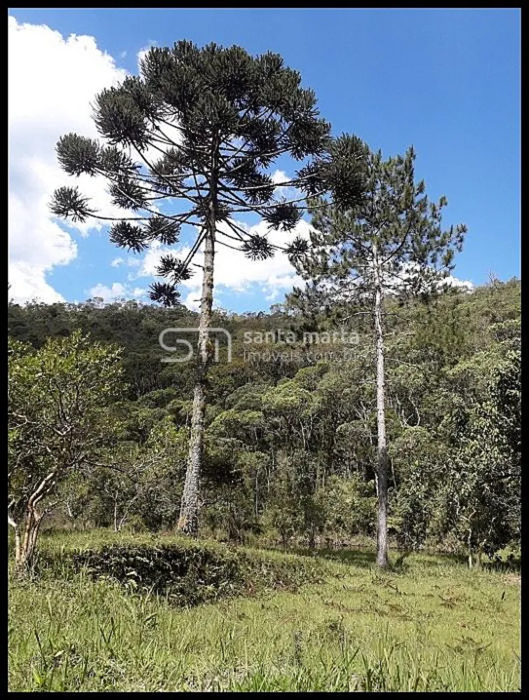 Sítio, 3 quartos, 154 hectares - Foto 12