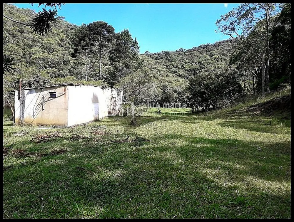 Sítio, 3 quartos, 154 hectares - Foto 8