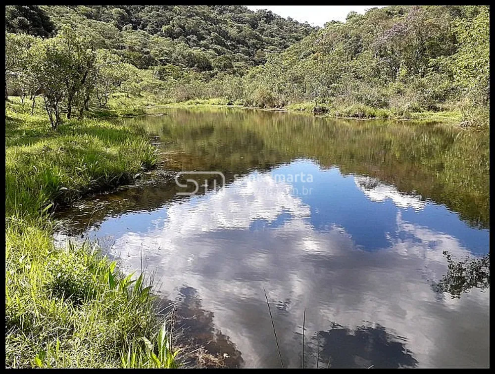 Sítio, 3 quartos, 154 hectares - Foto 1