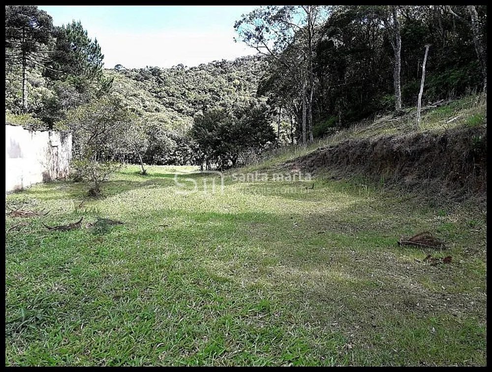 Fazenda, 154 hectares - Foto 3
