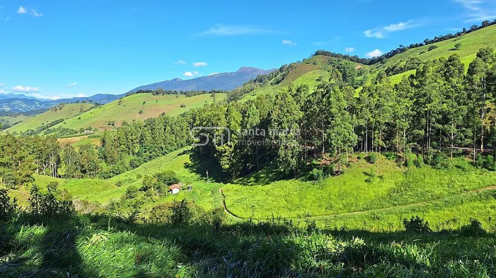 Sítio, 15 hectares - Foto 4