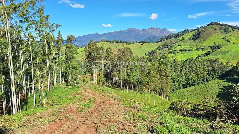 Sítio, 15 hectares - Foto 1