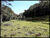 Fazenda-Sítio-Chácara, 154 hectares - Foto 4