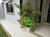 Casa, 4 quartos, 720 m² - Foto 28
