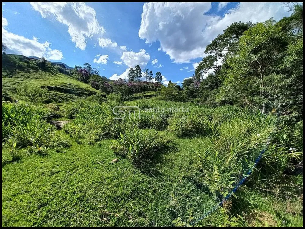 Sítio, 3 hectares - Foto 8