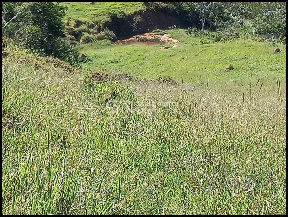 Sítio, 1 quarto, 28 hectares - Foto 1