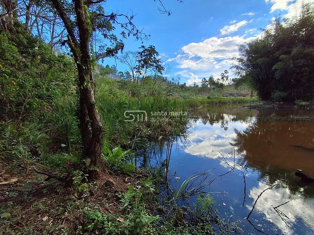 Fazenda, 215 hectares - Foto 3