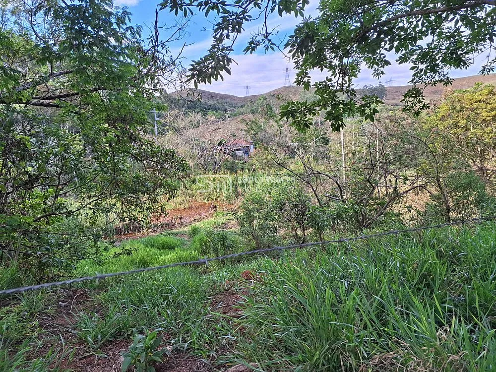 Fazenda, 215 hectares - Foto 11