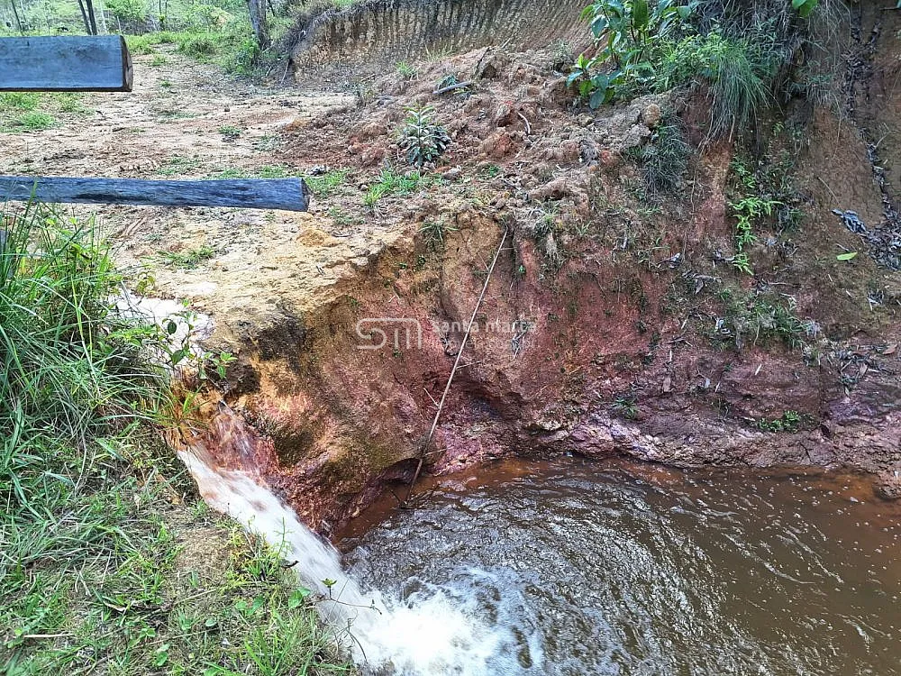 Fazenda, 215 hectares - Foto 7