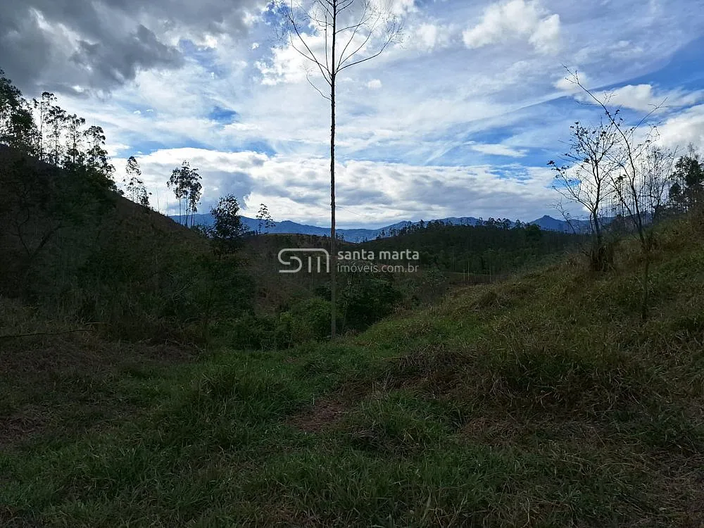 Fazenda, 215 hectares - Foto 2