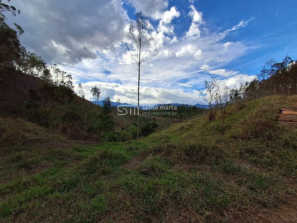 Fazenda, 215 hectares - Foto 8