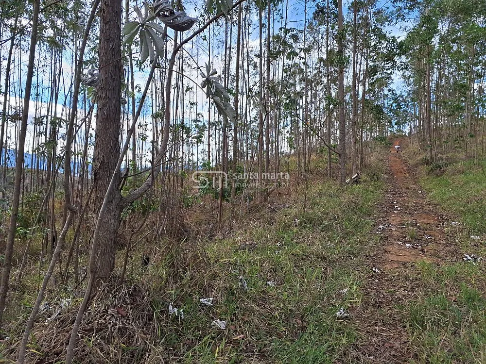 Fazenda, 215 hectares - Foto 10