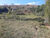 Sítio, 2 quartos, 24 hectares - Foto 2