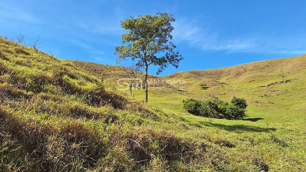 Fazenda, 532 hectares - Foto 3