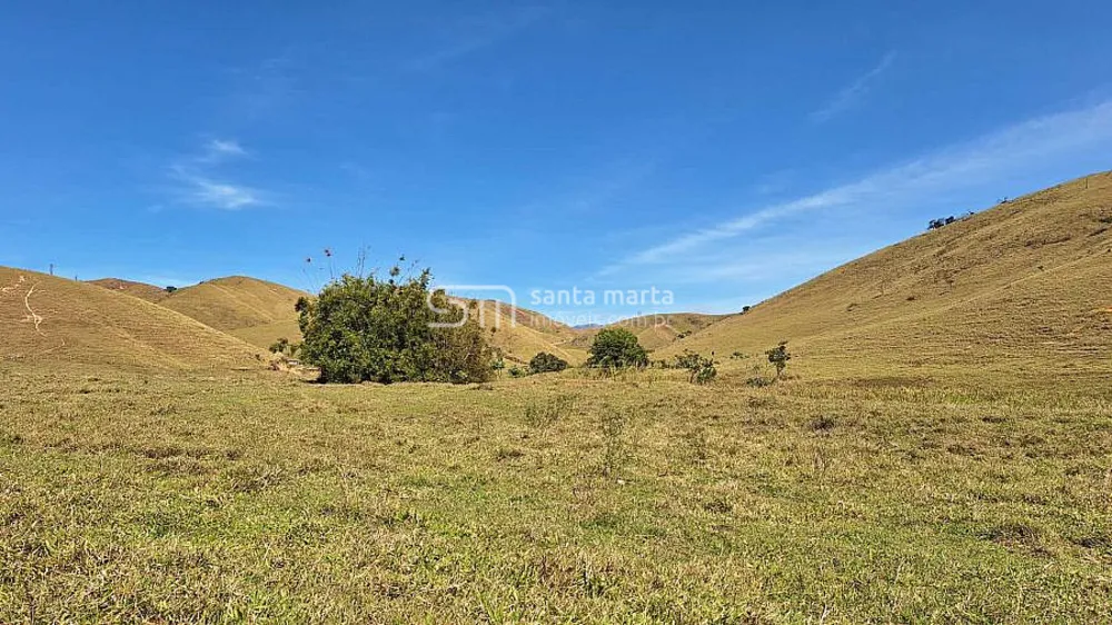 Fazenda, 532 hectares - Foto 2