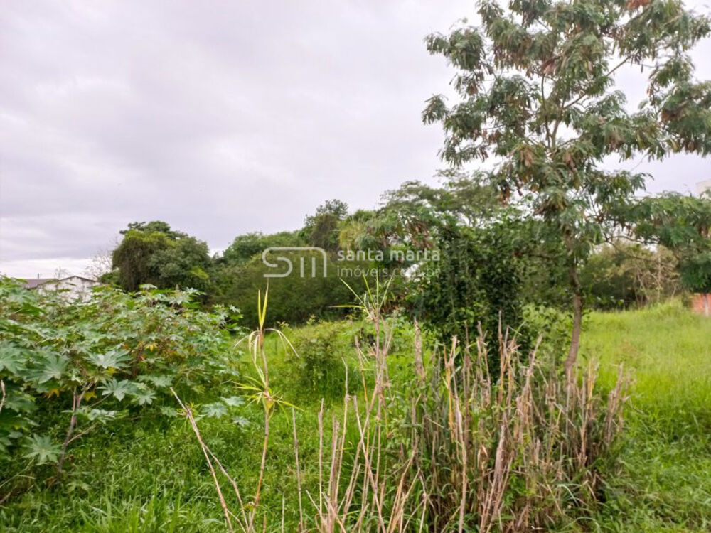 Terreno à venda, 2700m² - Foto 4
