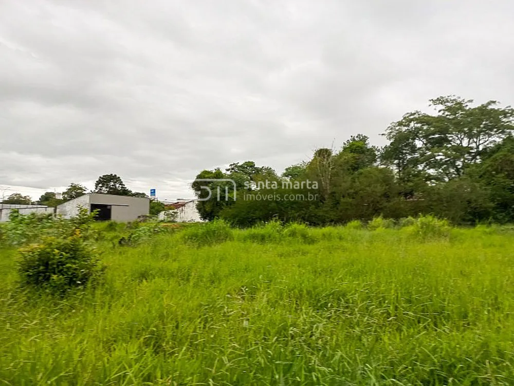Terreno, 2700 m² - Foto 5