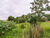 Terreno, 2700 m² - Foto 4