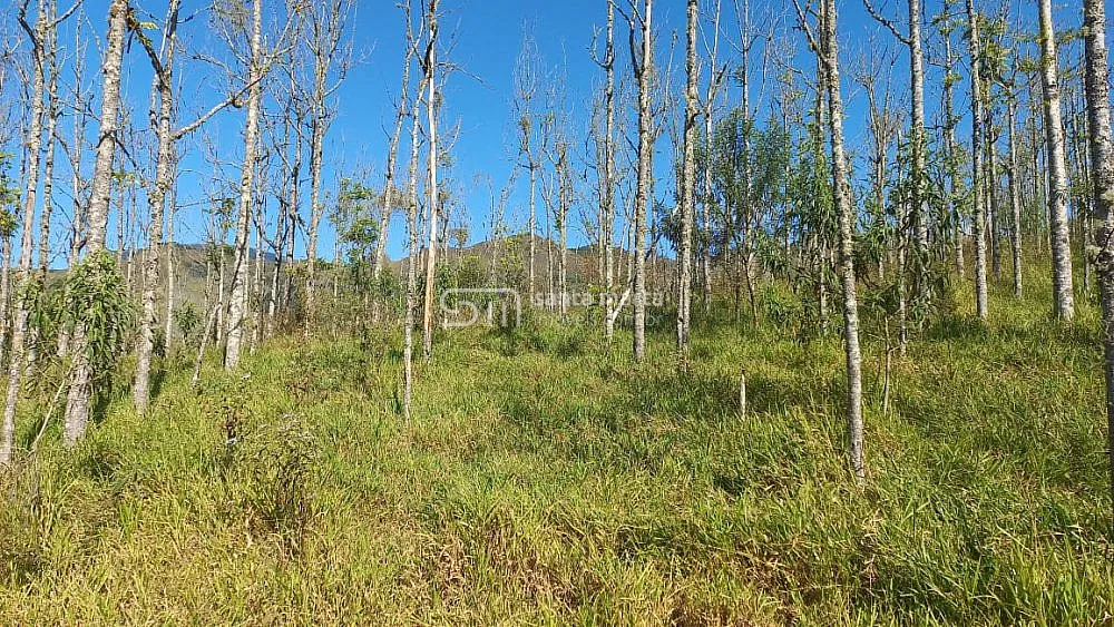 Fazenda, 148 hectares - Foto 1