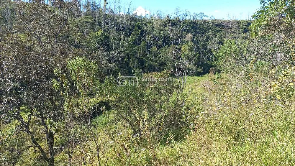 Fazenda, 148 hectares - Foto 3