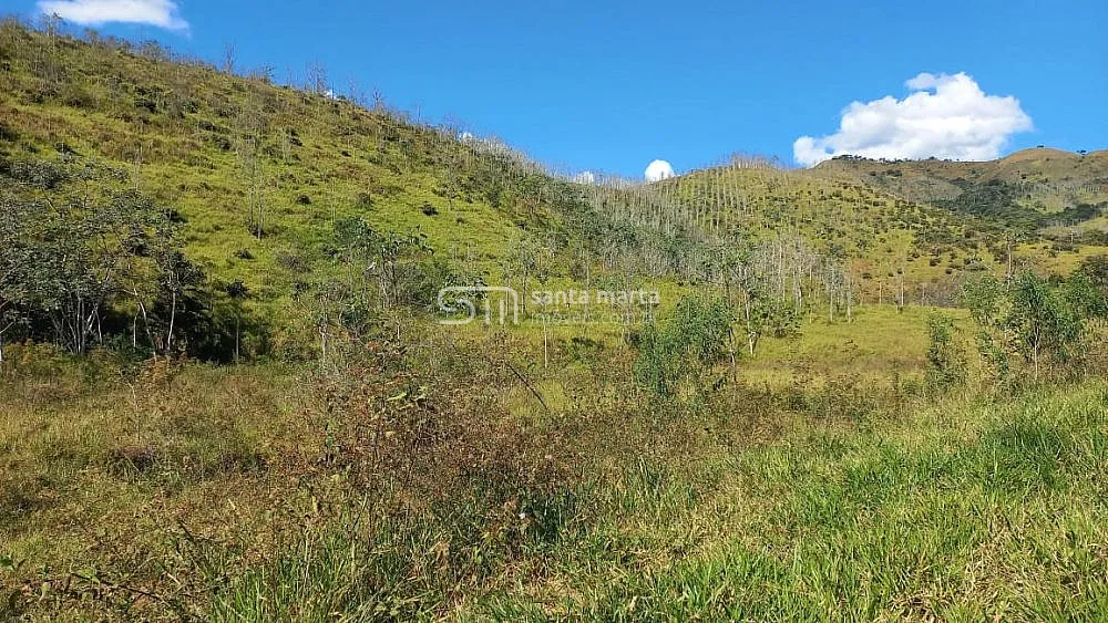 Fazenda, 148 hectares - Foto 8