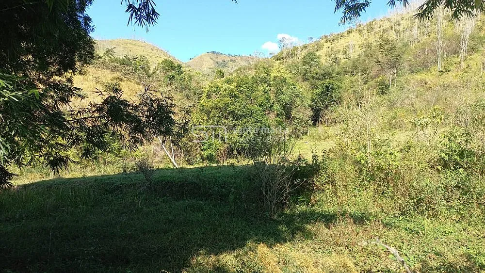 Fazenda, 148 hectares - Foto 7