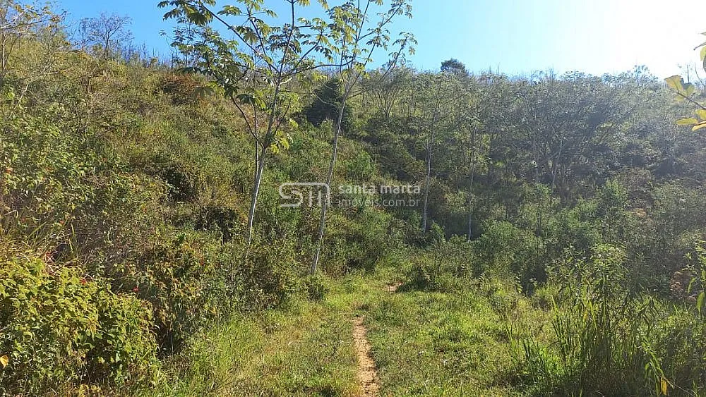 Fazenda, 148 hectares - Foto 4