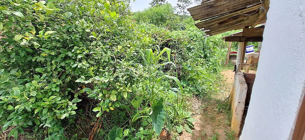 Casa, 3 quartos, 614 m² - Foto 1