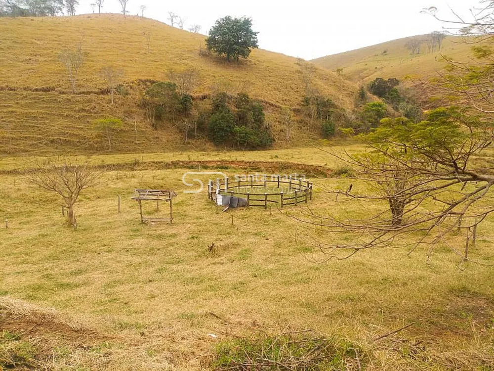 Fazenda, 36 hectares - Foto 12