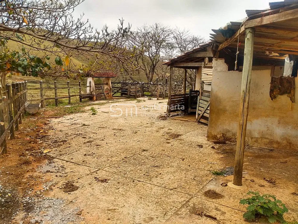 Fazenda, 36 hectares - Foto 11