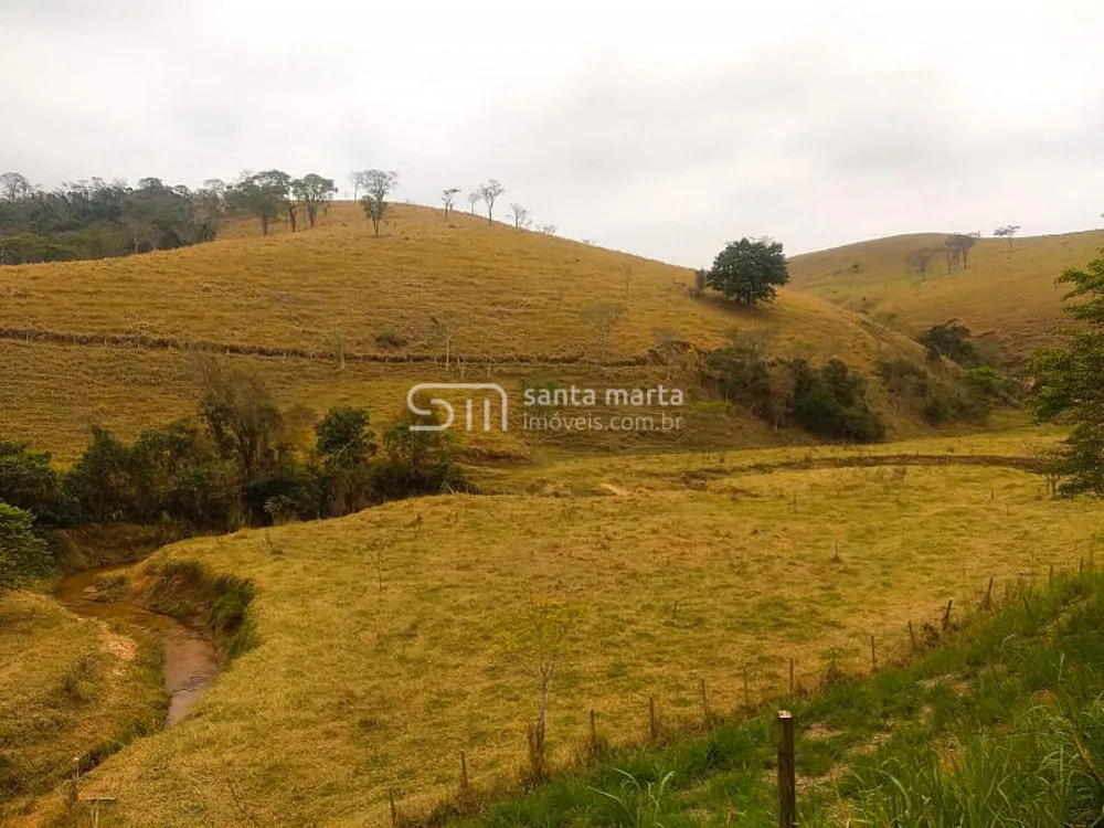 Fazenda, 36 hectares - Foto 4