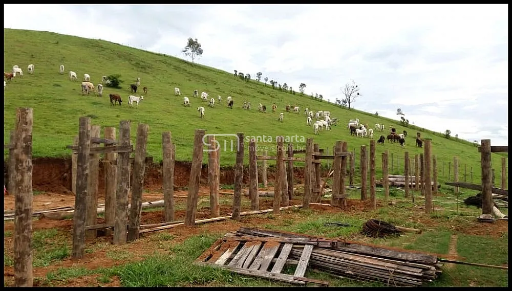 Fazenda, 157 hectares - Foto 11