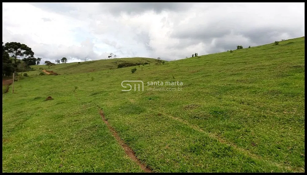 Fazenda, 157 hectares - Foto 4