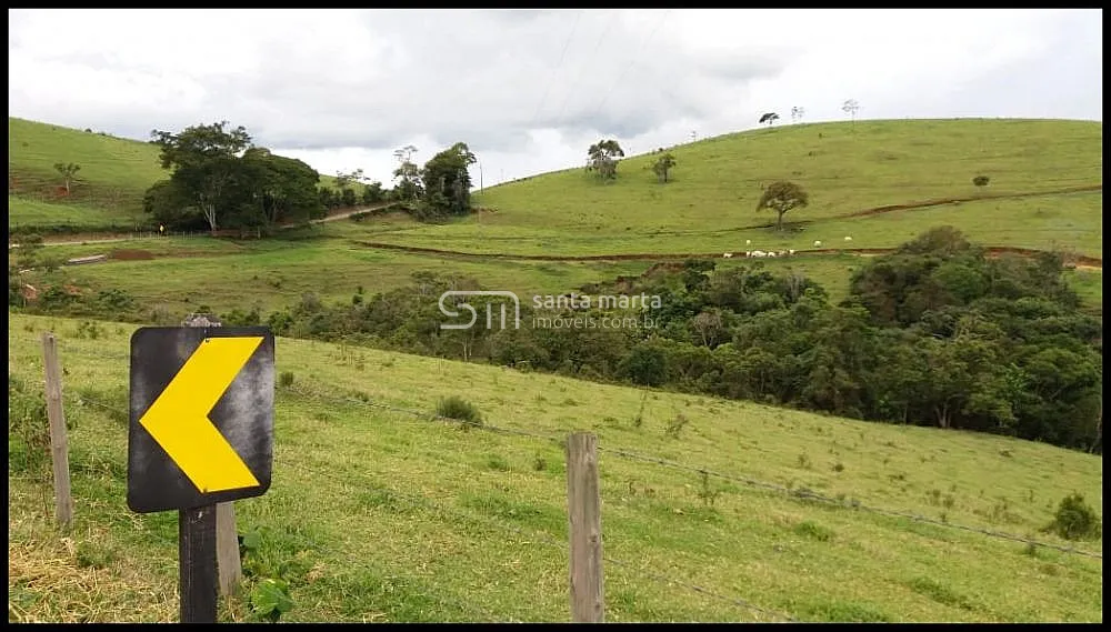 Fazenda, 157 hectares - Foto 6