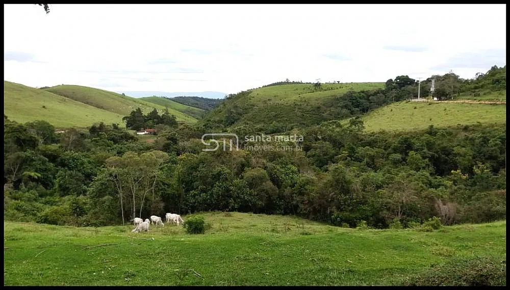 Fazenda, 157 hectares - Foto 5
