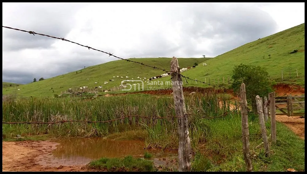 Fazenda, 157 hectares - Foto 2