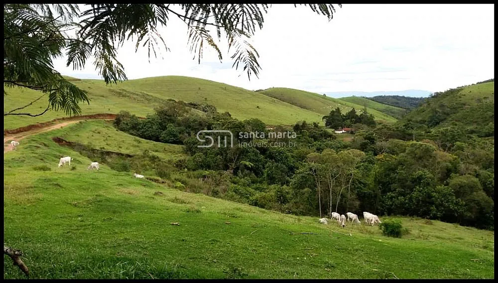 Fazenda, 157 hectares - Foto 12