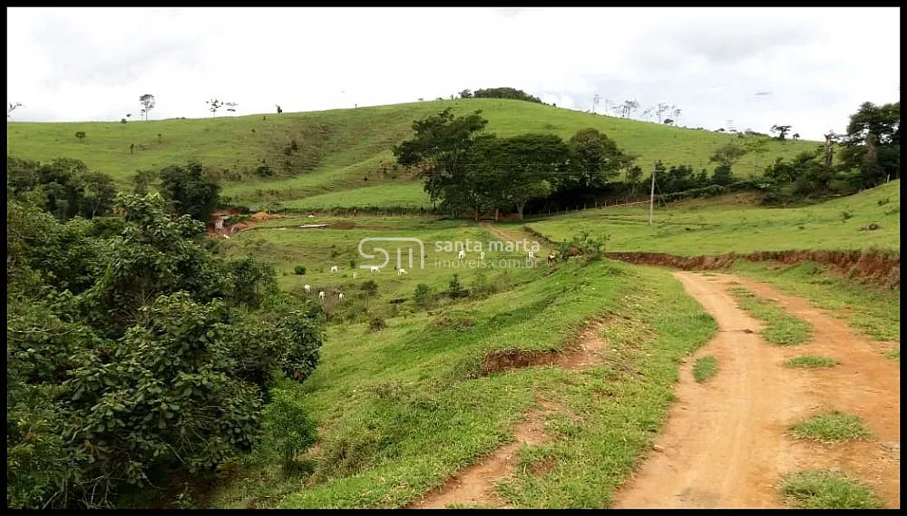 Fazenda, 157 hectares - Foto 8