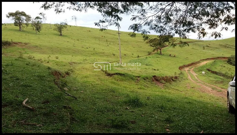 Fazenda, 157 hectares - Foto 10