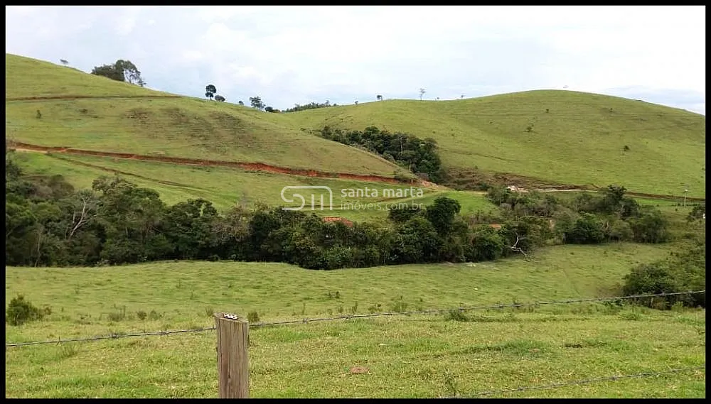 Fazenda, 157 hectares - Foto 7