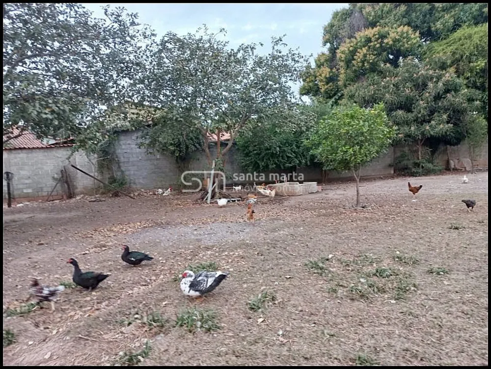 Terreno, 600 m² - Foto 7