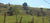 Terreno, 2 hectares - Foto 2