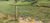 Terreno, 2 hectares - Foto 3