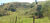Terreno, 2 hectares - Foto 1