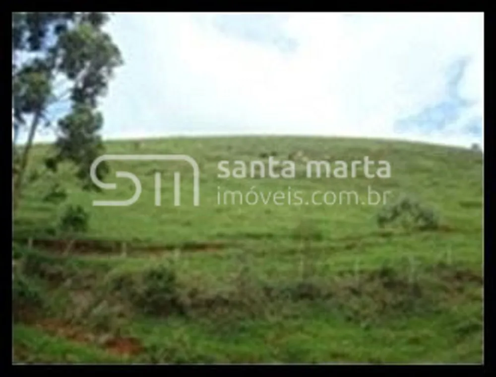 Fazenda, 97 hectares - Foto 4