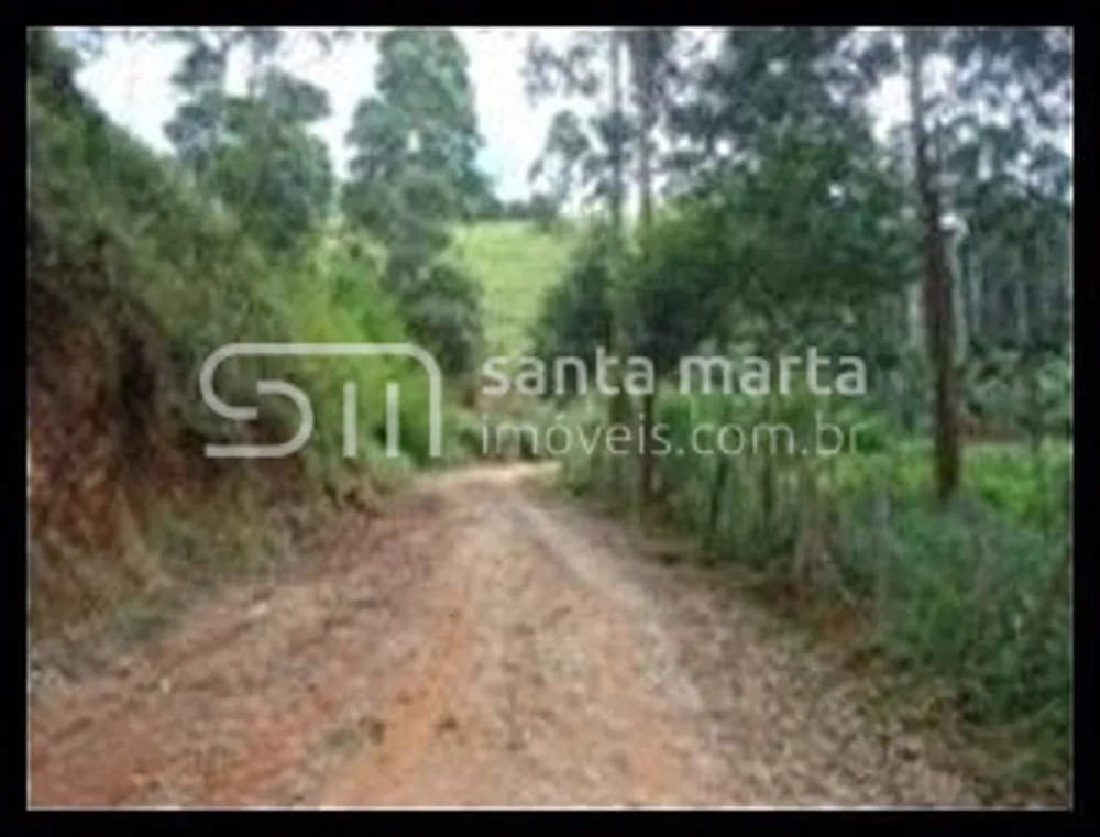 Fazenda, 97 hectares - Foto 5